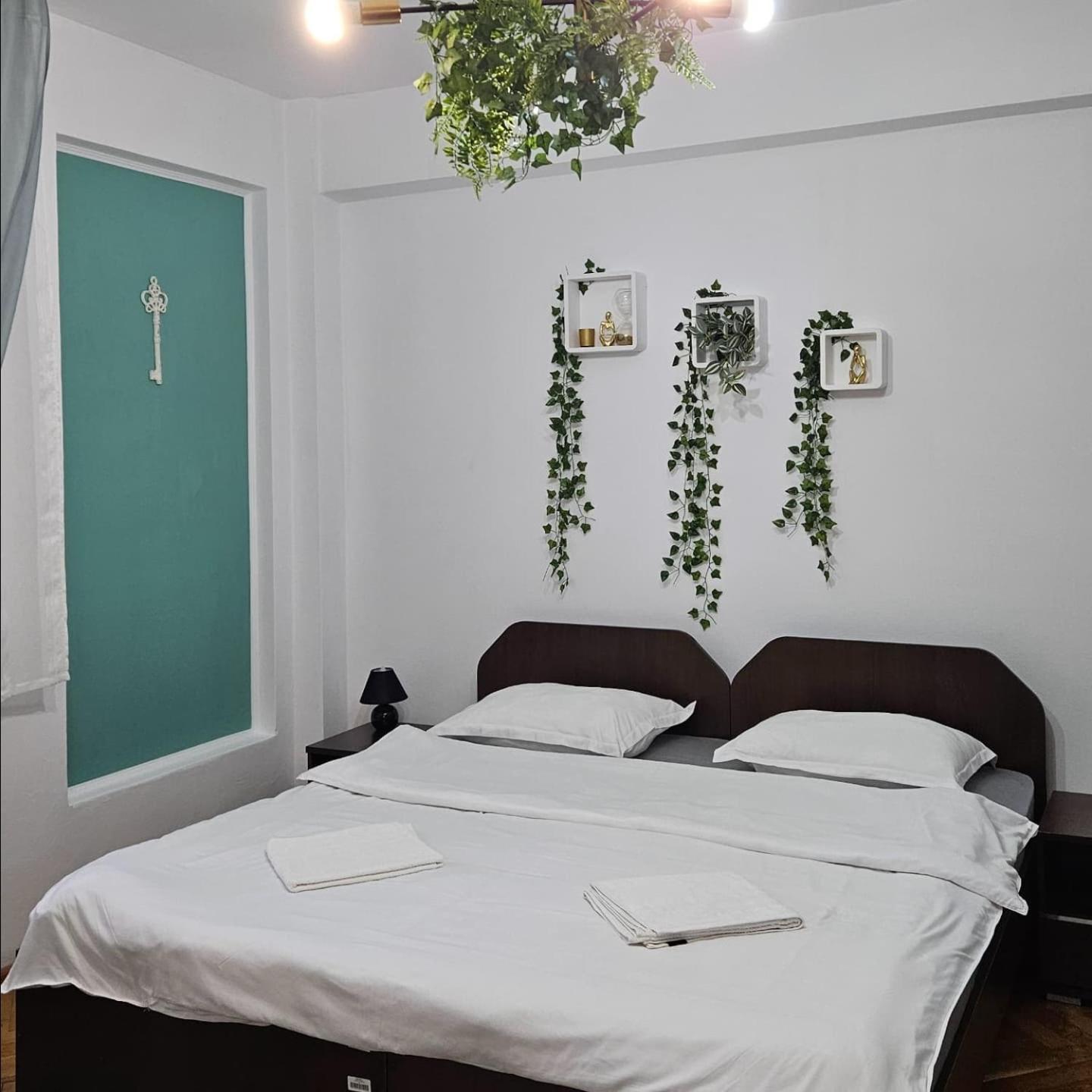 Apartment Zarnesti City Centre Vmp Free Parking Екстер'єр фото