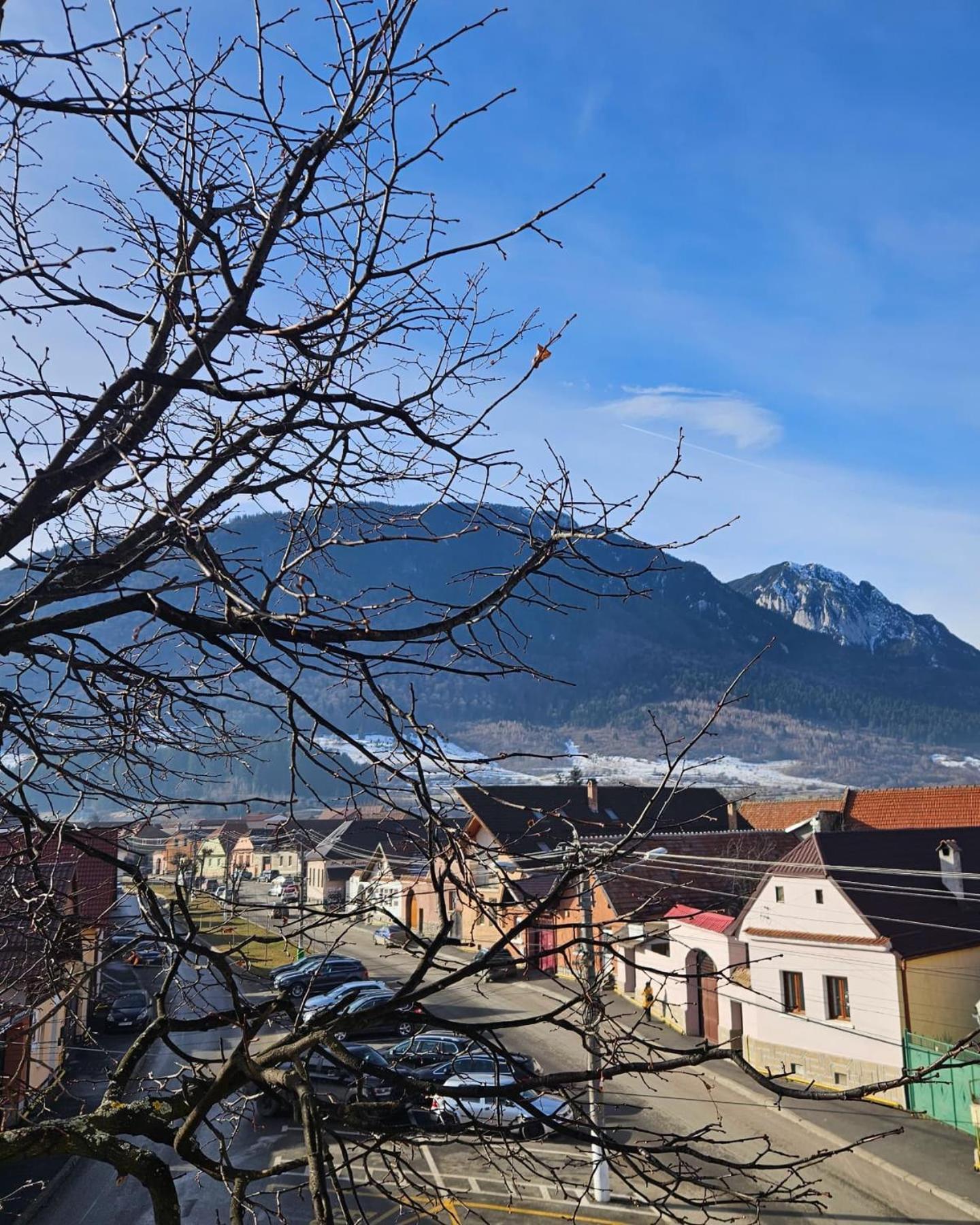 Apartment Zarnesti City Centre Vmp Free Parking Екстер'єр фото