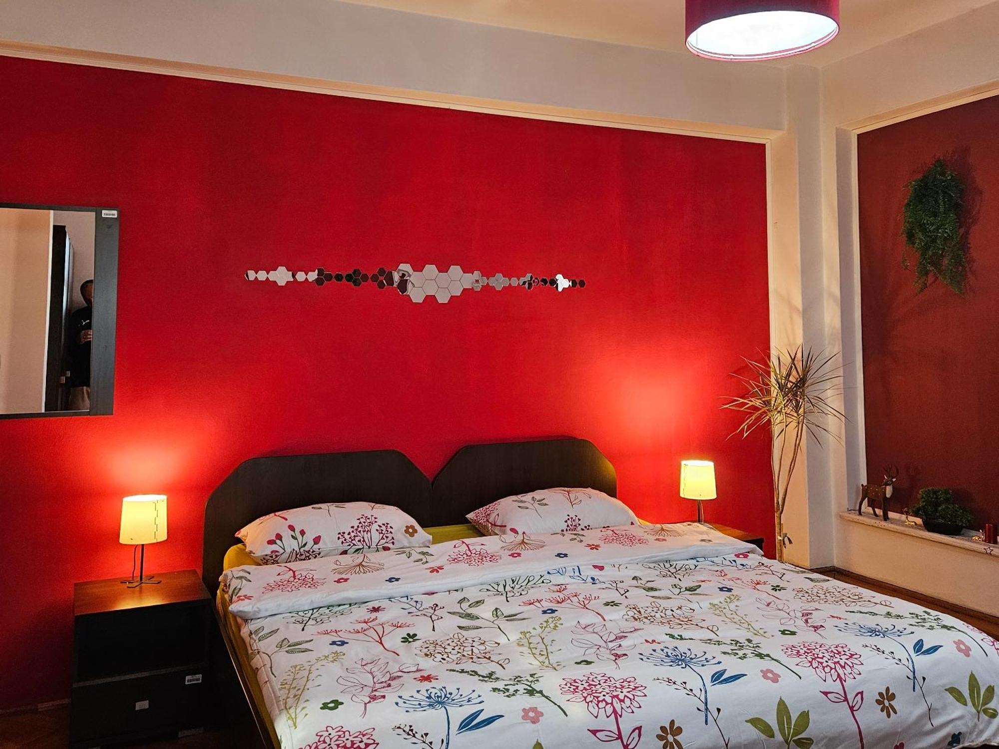 Apartment Zarnesti City Centre Vmp Free Parking Екстер'єр фото